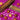 bombombs hot chocolate bombs packaging with marshmallows