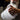 1 Gallon Carboy